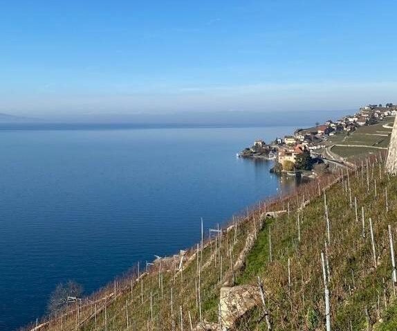 Hiking among the UNESCO vineyards of Lavaux