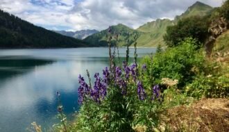 Hiking in Val Piora: the three lakes of Ritom, Tom and Cadagno